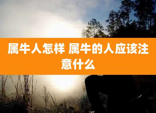 属牛人怎样 属牛的人应该注意什么