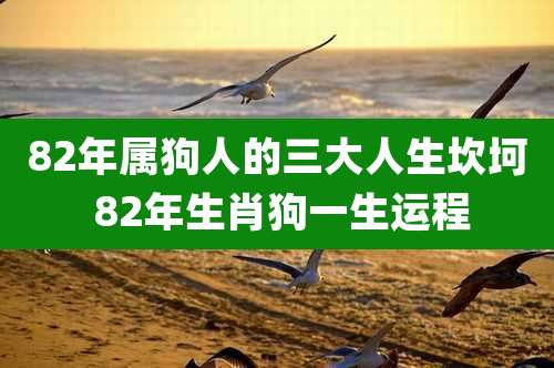 82年属狗人的三大人生坎坷 82年生肖狗一生运程