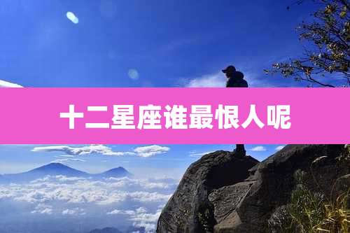 十二星座谁最恨人呢