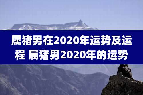属猪男在2020年运势及运程 属猪男2020年的运势