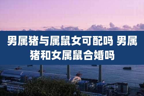 男属猪与属鼠女可配吗 男属猪和女属鼠合婚吗