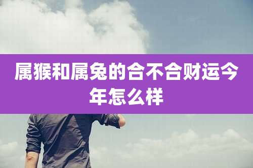 属猴和属兔的合不合财运今年怎么样
