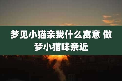 梦见小猫亲我什么寓意 做梦小猫咪亲近