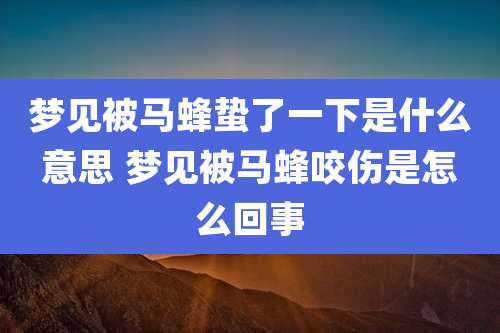 梦见被马蜂蛰了一下是什么意思 梦见被马蜂咬伤是怎么回事