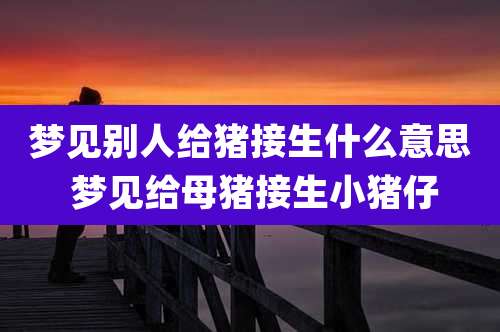 梦见别人给猪接生什么意思 梦见给母猪接生小猪仔