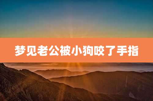 梦见老公被小狗咬了手指