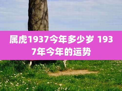 属虎1937今年多少岁 1937年今年的运势