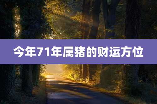 今年71年属猪的财运方位