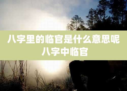 八字里的临官是什么意思呢 八字中临官