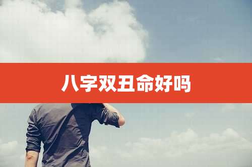 八字双丑命好吗