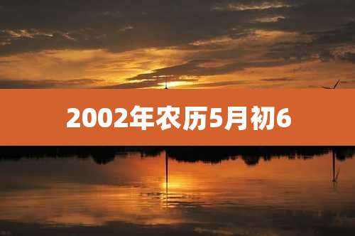 2002年农历5月初6