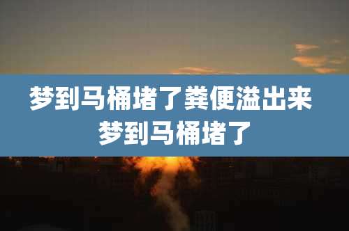 梦到马桶堵了粪便溢出来 梦到马桶堵了