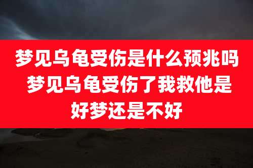 梦见乌龟受伤是什么预兆吗 梦见乌龟受伤了我救他是好梦还是不好