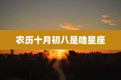 农历十月初八是啥星座