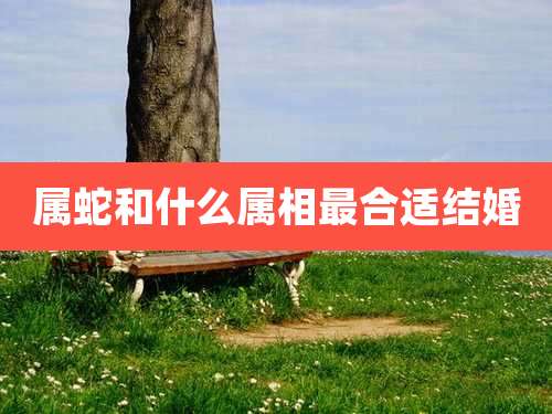 属蛇和什么属相最合适结婚