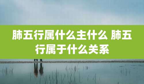 肺五行属什么主什么 肺五行属于什么关系
