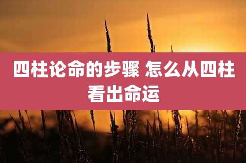 四柱论命的步骤 怎么从四柱看出命运