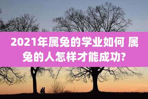 2021年属兔的学业如何 属兔的人怎样才能成功?