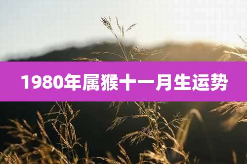 1980年属猴十一月生运势