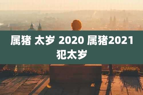 属猪 太岁 2020 属猪2021犯太岁