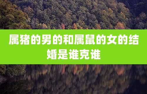 属猪的男的和属鼠的女的结婚是谁克谁
