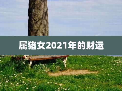 属猪女2021年的财运