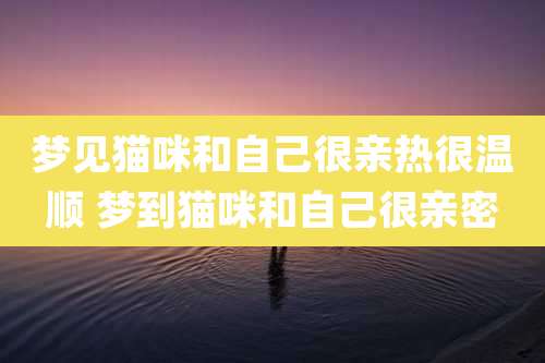 梦见猫咪和自己很亲热很温顺 梦到猫咪和自己很亲密