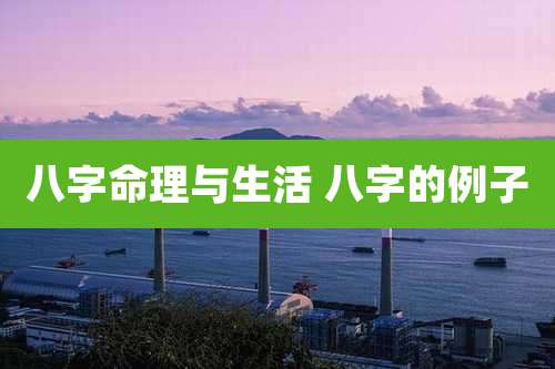 八字命理与生活 八字的例子