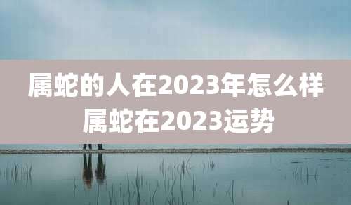 属蛇的人在2023年怎么样 属蛇在2023运势