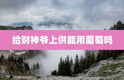 给财神爷上供能用葡萄吗