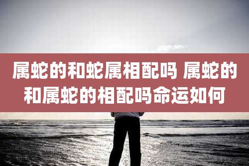属蛇的和蛇属相配吗 属蛇的和属蛇的相配吗命运如何