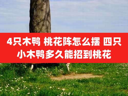 4只木鸭 桃花阵怎么摆 四只小木鸭多久能招到桃花