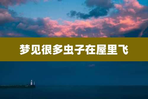 梦见很多虫子在屋里飞