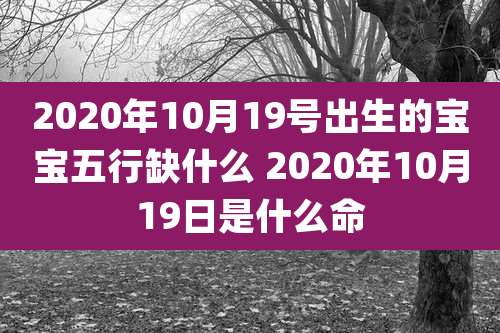 2020年10月19号出生的宝宝五行缺什么 2020年10月19日是什么命