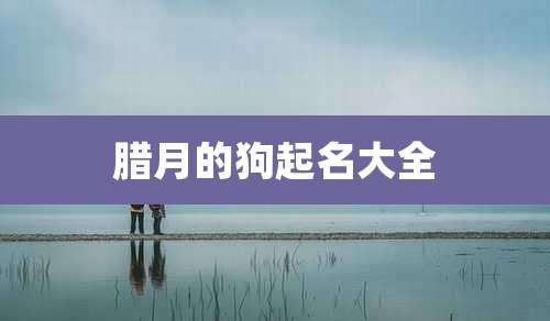 腊月的狗起名大全