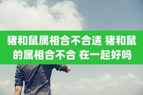 猪和鼠属相合不合适 猪和鼠的属相合不合 在一起好吗