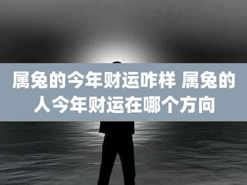 属兔的今年财运咋样 属兔的人今年财运在哪个方向