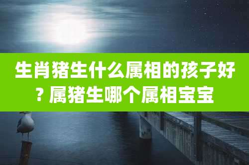 生肖猪生什么属相的孩子好? 属猪生哪个属相宝宝