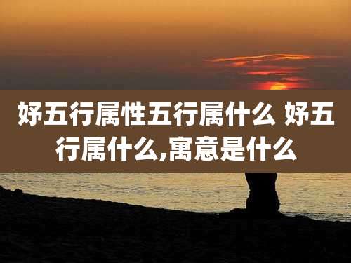 妤五行属性五行属什么 妤五行属什么,寓意是什么