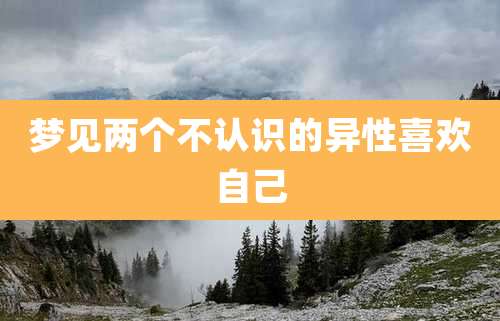 梦见两个不认识的异性喜欢自己