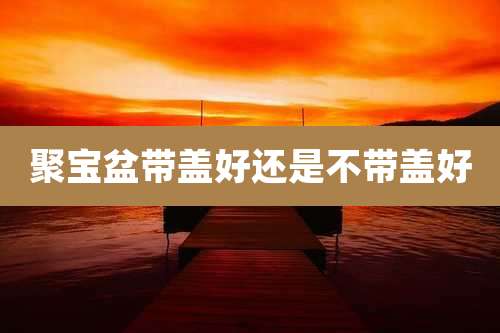 聚宝盆带盖好还是不带盖好