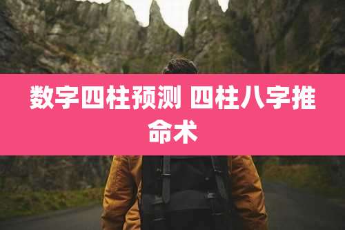 数字四柱预测 四柱八字推命术