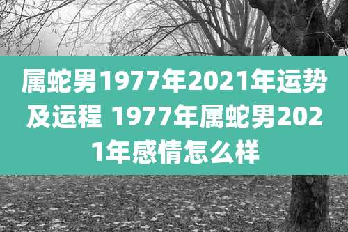 属蛇男1977年2021年运势及运程 1977年属蛇男2021年感情怎么样