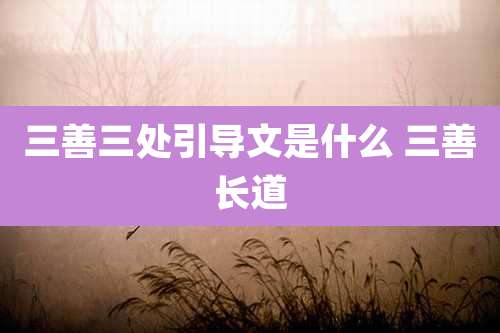 三善三处引导文是什么 三善长道