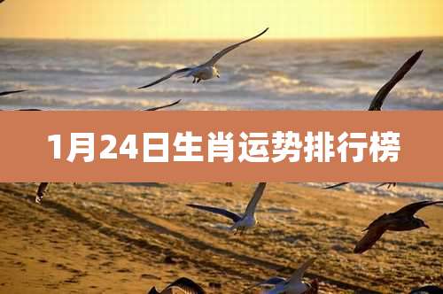 1月24日生肖运势排行榜