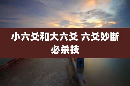 小六爻和大六爻 六爻妙断必杀技