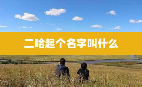 二哈起个名字叫什么