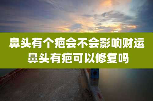 鼻头有个疤会不会影响财运 鼻头有疤可以修复吗