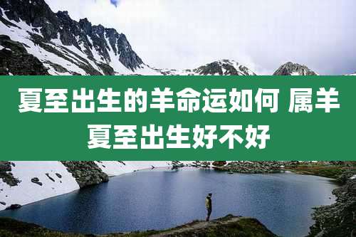 夏至出生的羊命运如何 属羊夏至出生好不好