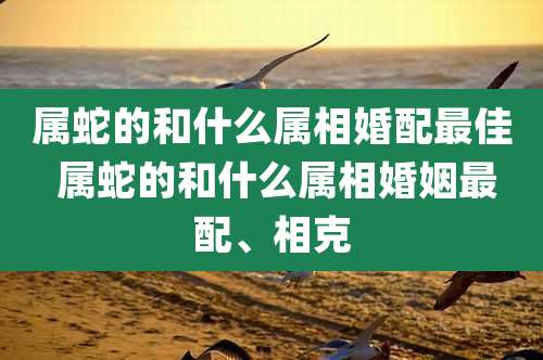 属蛇的和什么属相婚配最佳 属蛇的和什么属相婚姻最配、相克